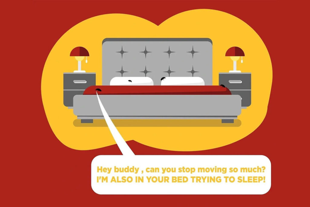 the-bed-bug-battle-in-ontario-cover-image